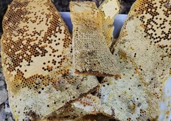 석청꿀 효능 7가지 보관방법 섭취 시 주의사항에 대해서 알아보기_27