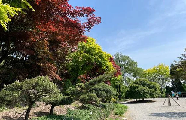 파이브이모션 관광농원 용인