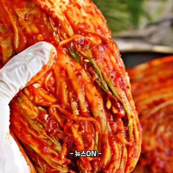 김장김치 빨리 익히는 방법