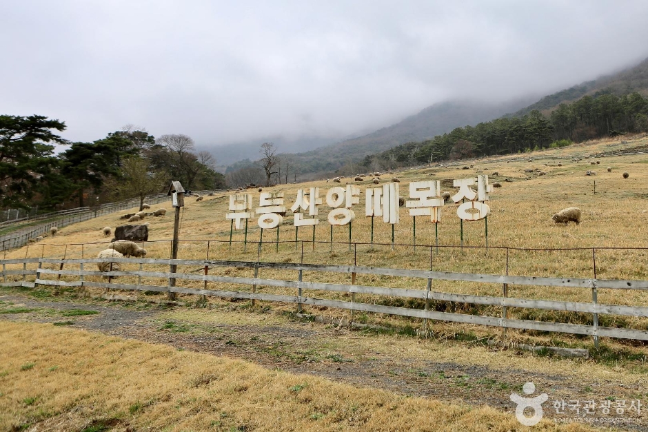 화순 가볼만한곳 베스트10