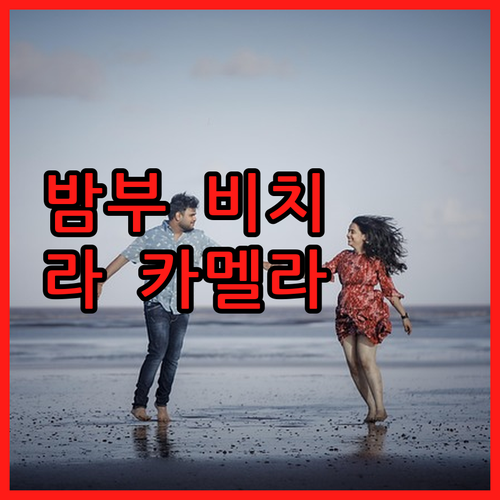 밤부 비치 리조트 vs 라 카멜라, ..