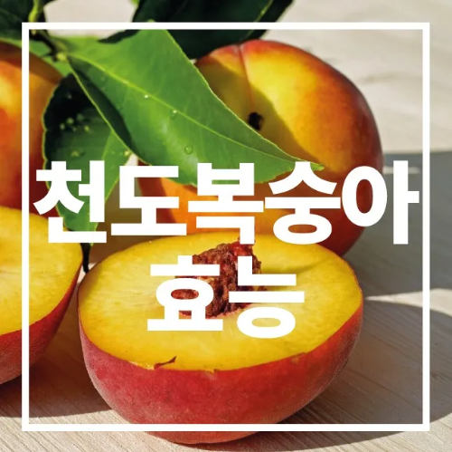 천도복숭아 효능