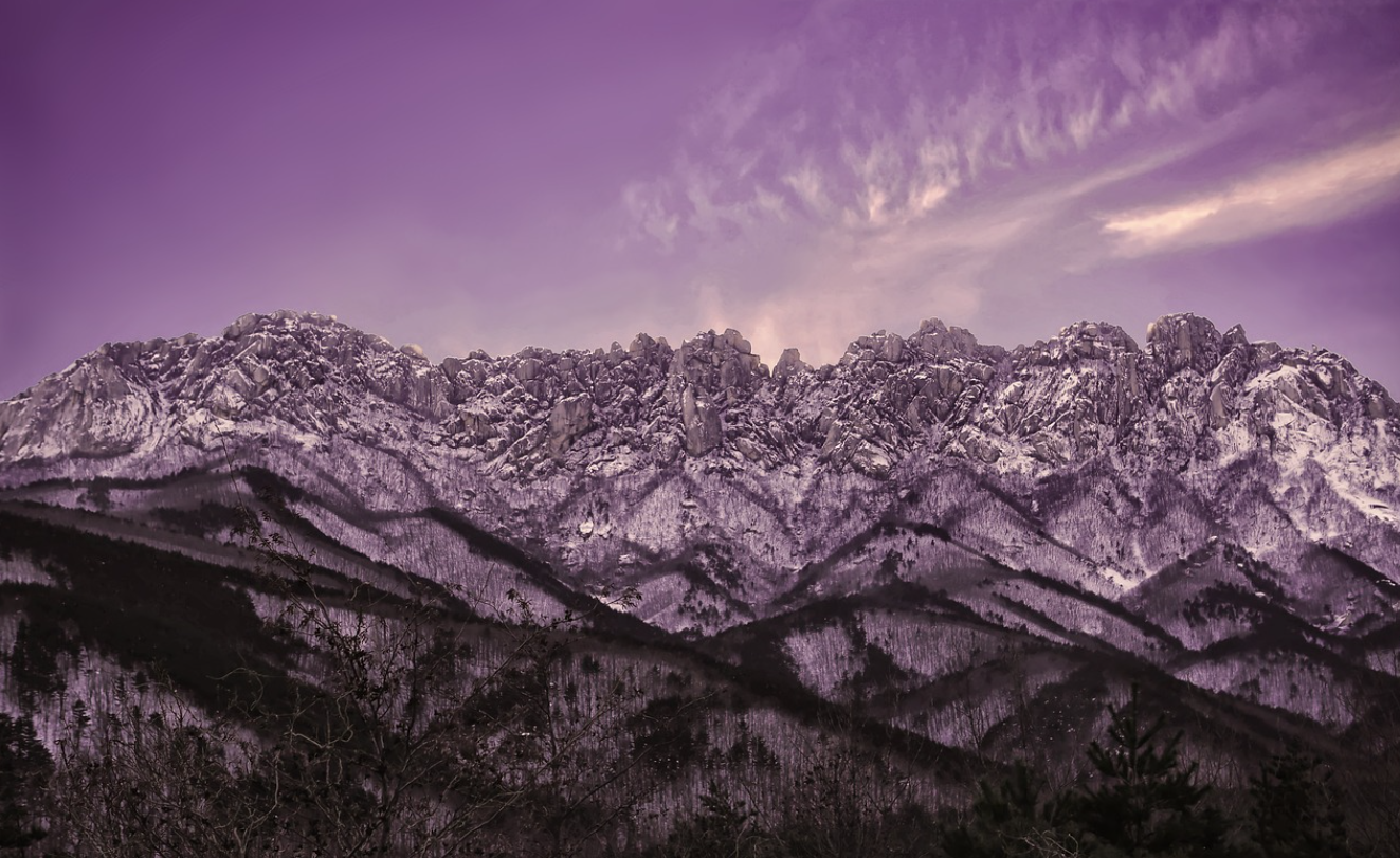 강원도 겨울 여행 관련 사진