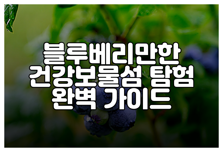 블루베리만한 건강보물섬 탐험 완벽 가이드