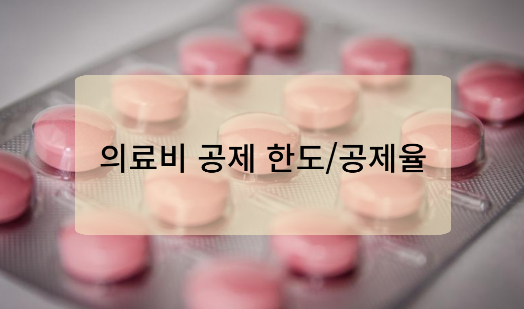 의료비 세액공제 한도와 공제율