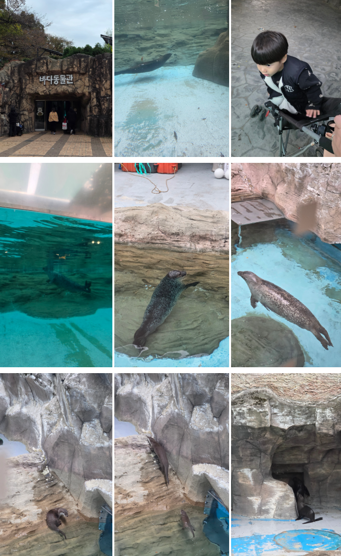 서울어린이대공원 동물원 가을 나들이 (무료입장/관람 코스)