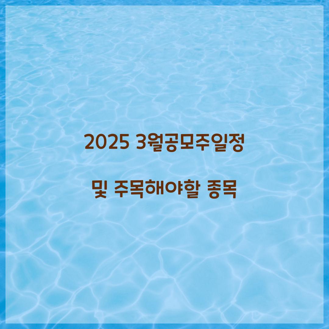 2025 3월공모주일정