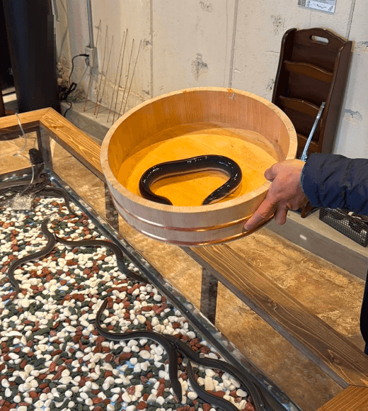 오사카 장어덮밥 맛집 BEST6 장어 낚시와 장어덮밥 HACHIYA 1