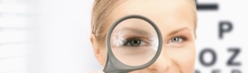 돋보기로 보는 이미지