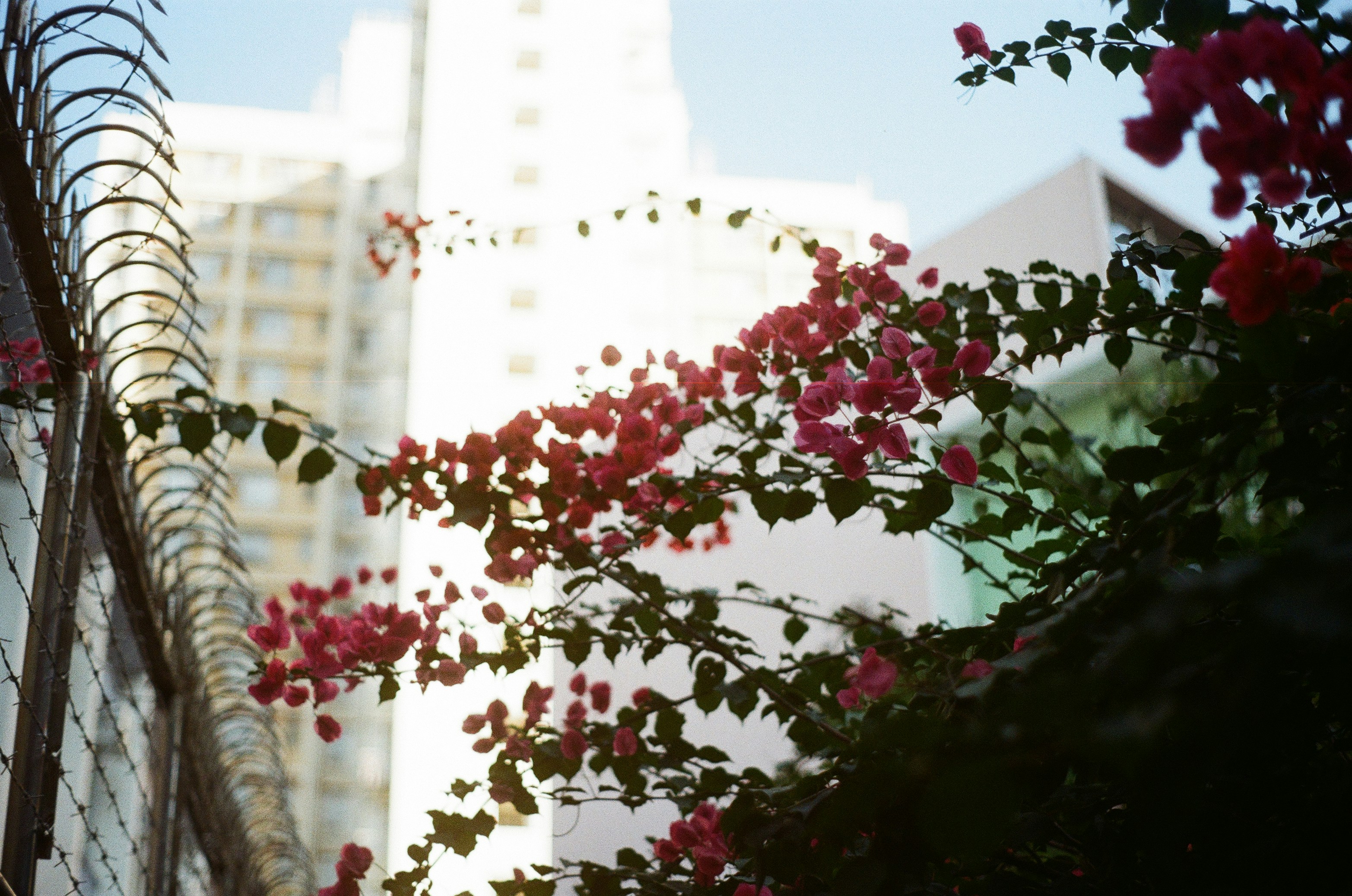 특별한 20대 여행 기록