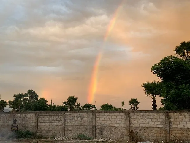 쿠팡 육개장 품절 대란 원인과 대체 상품_6