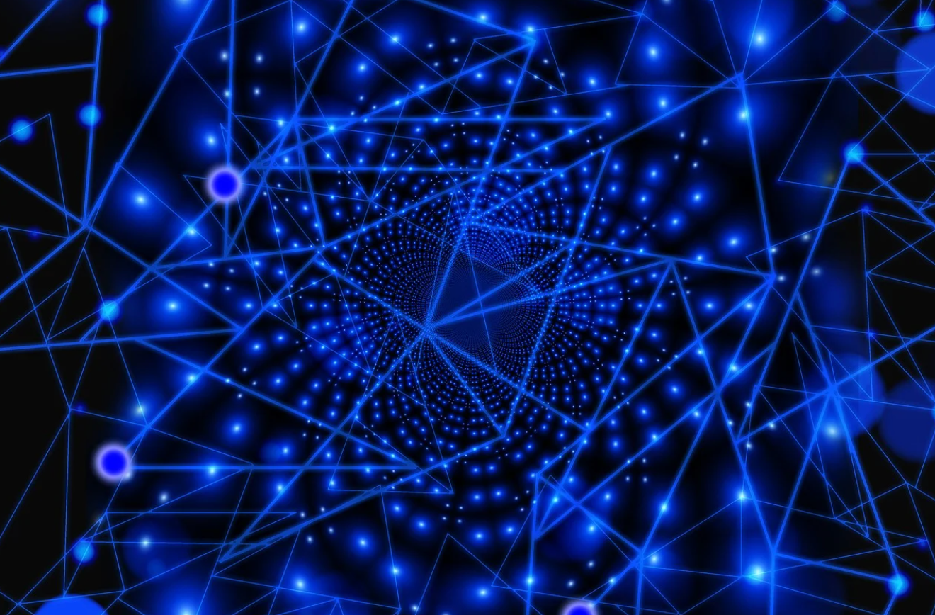 땅속 네트워크로 대화하는 숲 식물의 지능과 통신 이야기