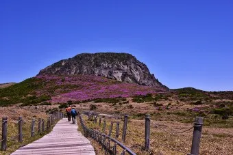 한라산 탐방로예약 시스템 등산 코스_20