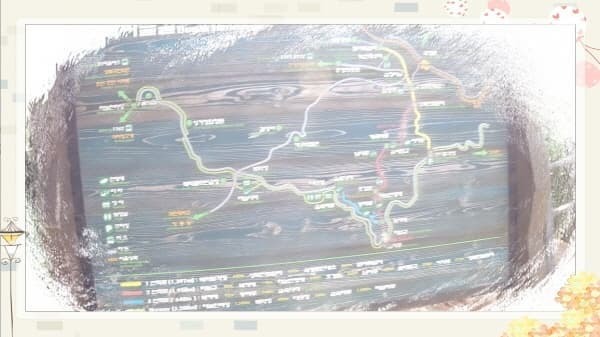 북악스카이웨이 산책로 완벽 가이드: 초보자도 쉽게 따라하는 코스 