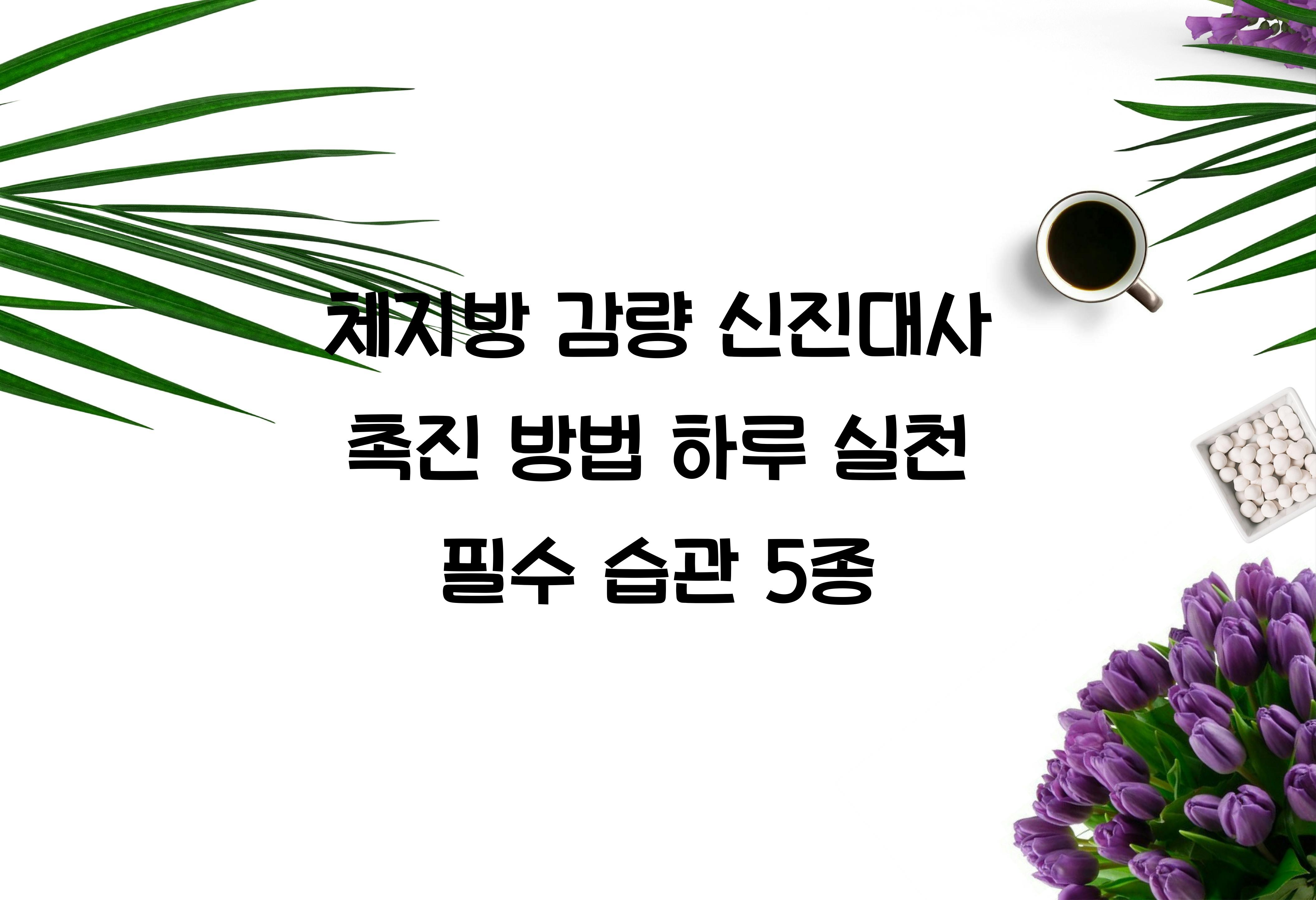 신진대사 촉진 방법