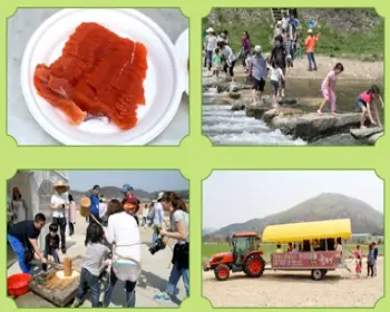 양평딸기 송어축제_12