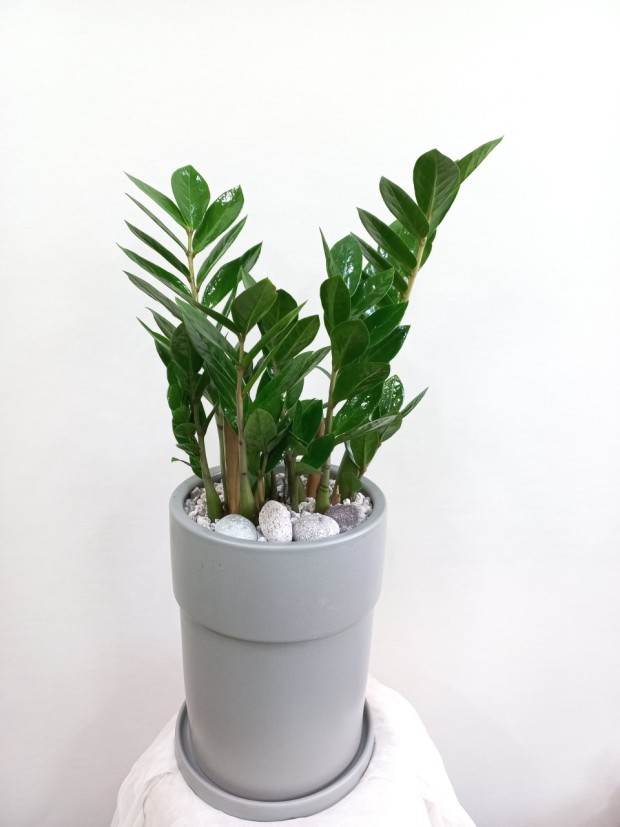 개업 축하 문구