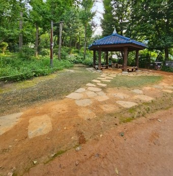 매봉산 치유 숲길