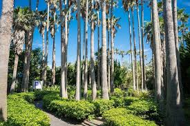 제주도 한림공원 + 협재 해수욕장 카페