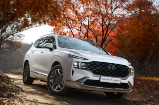 현대차 배당금 기준일 입금일 조회