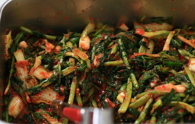 프로바이오틱스의 장 건강과 면역 균형 회복 효과