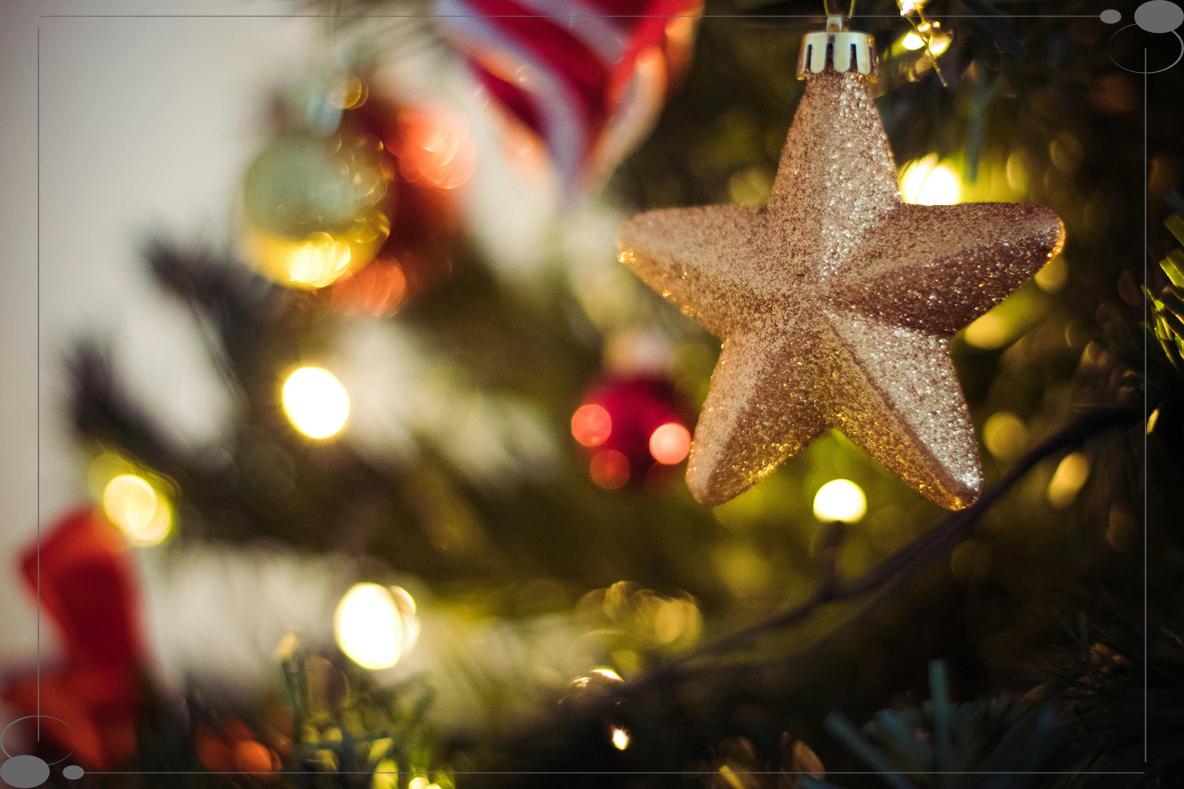 🎄 서울이 빛난다! 롯데백화점, 3만 개 LED '스위트 홀리데이' 크리스마스 장식 점등 (본점/잠실점)