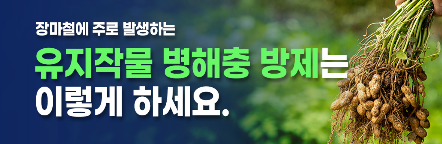 병해충 방제법 자세히 보기