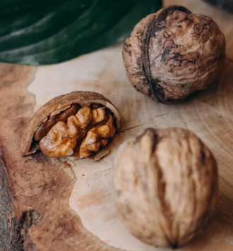 오메가3 많은 음식 식품