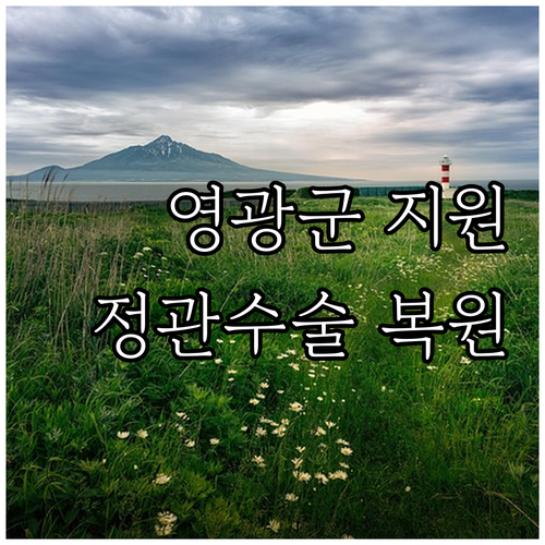 2025 영광군 정관난관 복원수술비 ..