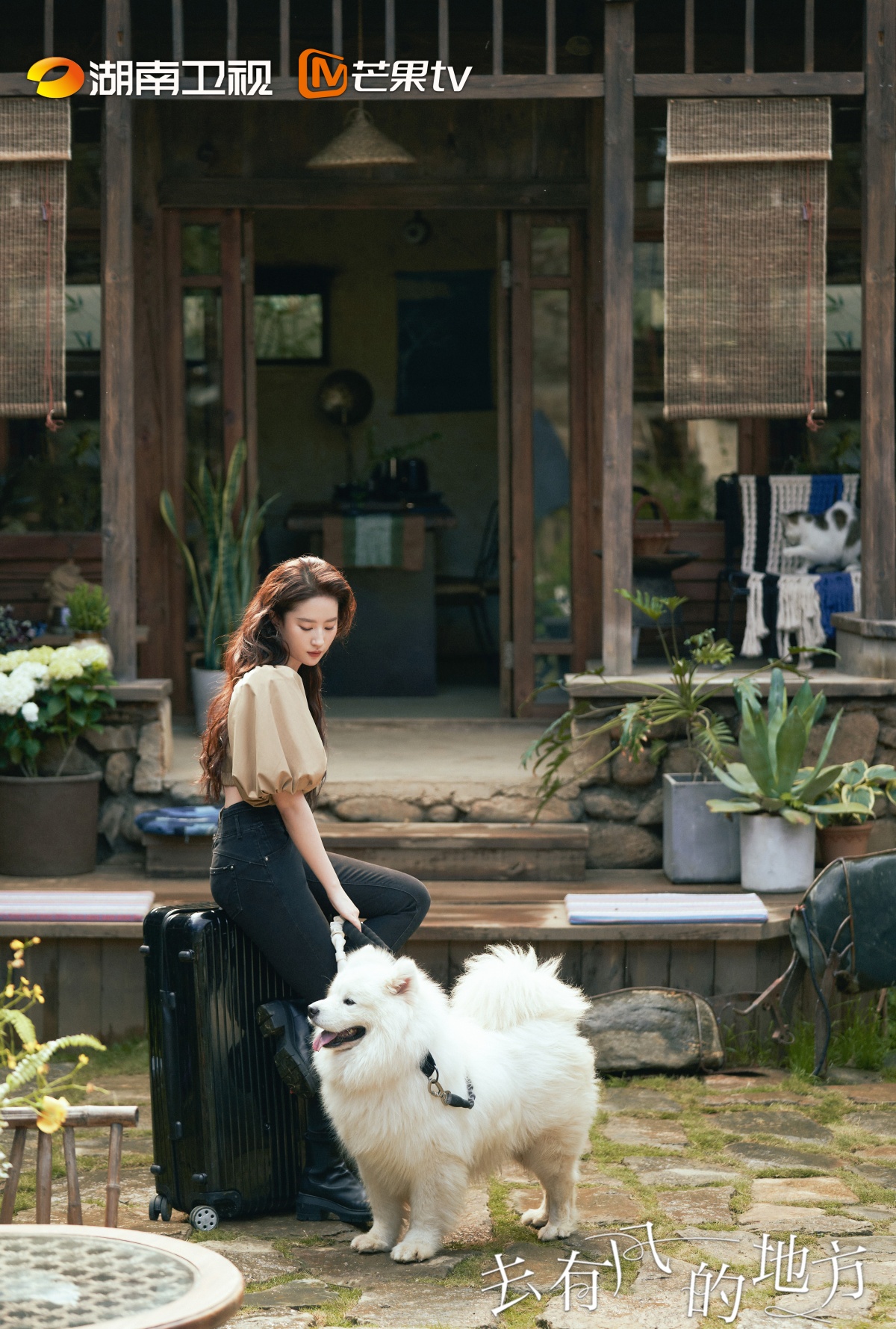 거유풍적지방-유역비-여행캐리어위에 앉아 강아지 보고 있는 모습