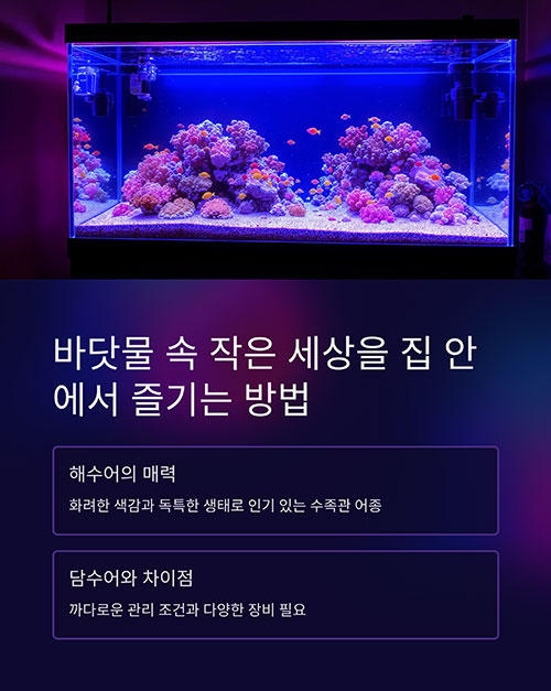 바닷물 속 작은 세상을 집 안에서 즐기는 방법