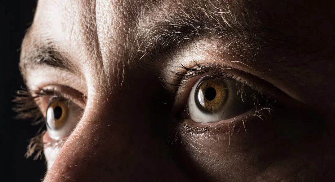 백내장노안-눈 이미지