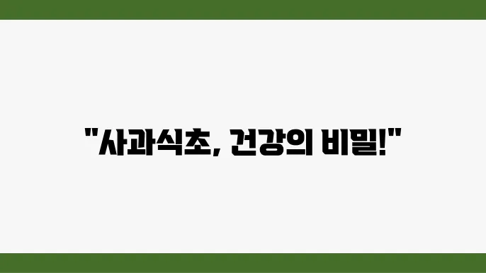 사과식초 (애사비)의 효능과 먹늕 죄정