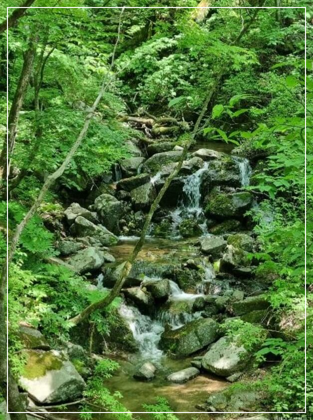 인제 가볼만한곳 베스트10 점봉산 곰배령