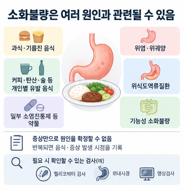소화불량이 과식 기름진 음식 일부 약물 위염 역류질환 기능성 소화불량 등 여러 원인과 관련될 수 있음을 보여주는 이미지