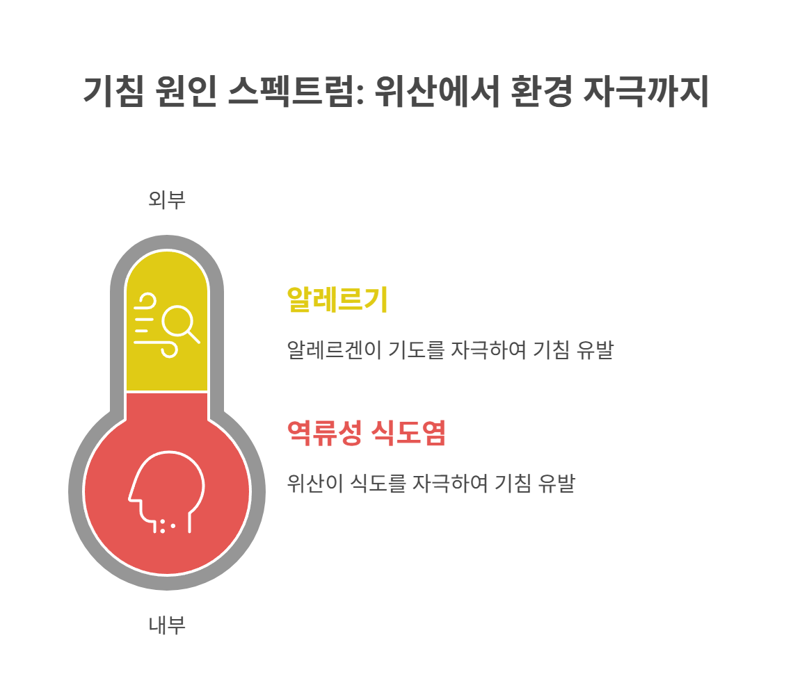 역류성 식도염과 알레르기의 영향