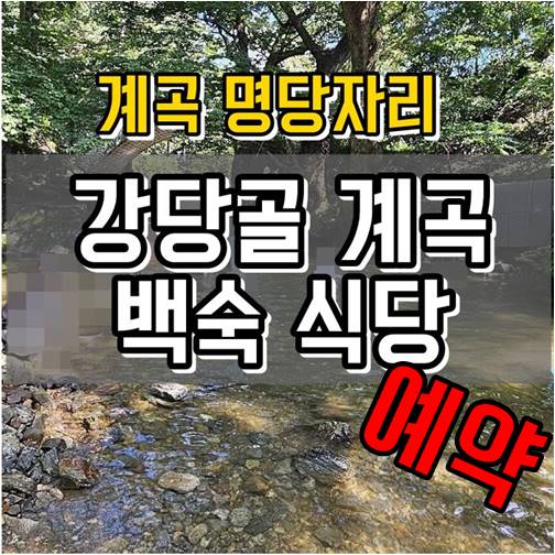 강당골 계곡 백숙식당 예약