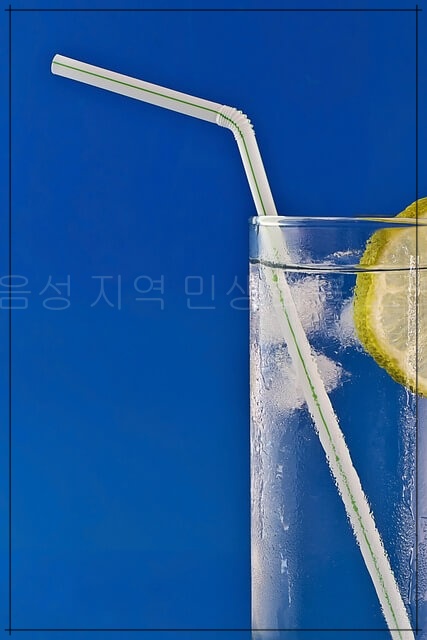 충북 음성 민생회복 소비쿠폰 사용처 총정리