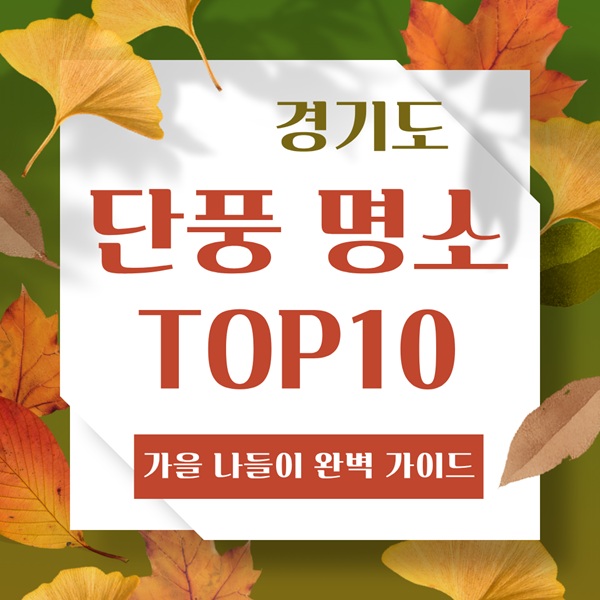 경기도단풍, 경기도단풍명소, 경기도가을여행, 서울근교단풍, 가평아침고요수목원, 남이섬단풍, 국립수목원광릉숲, 남한산성단풍, 용문산단풍, 감악산출렁다리