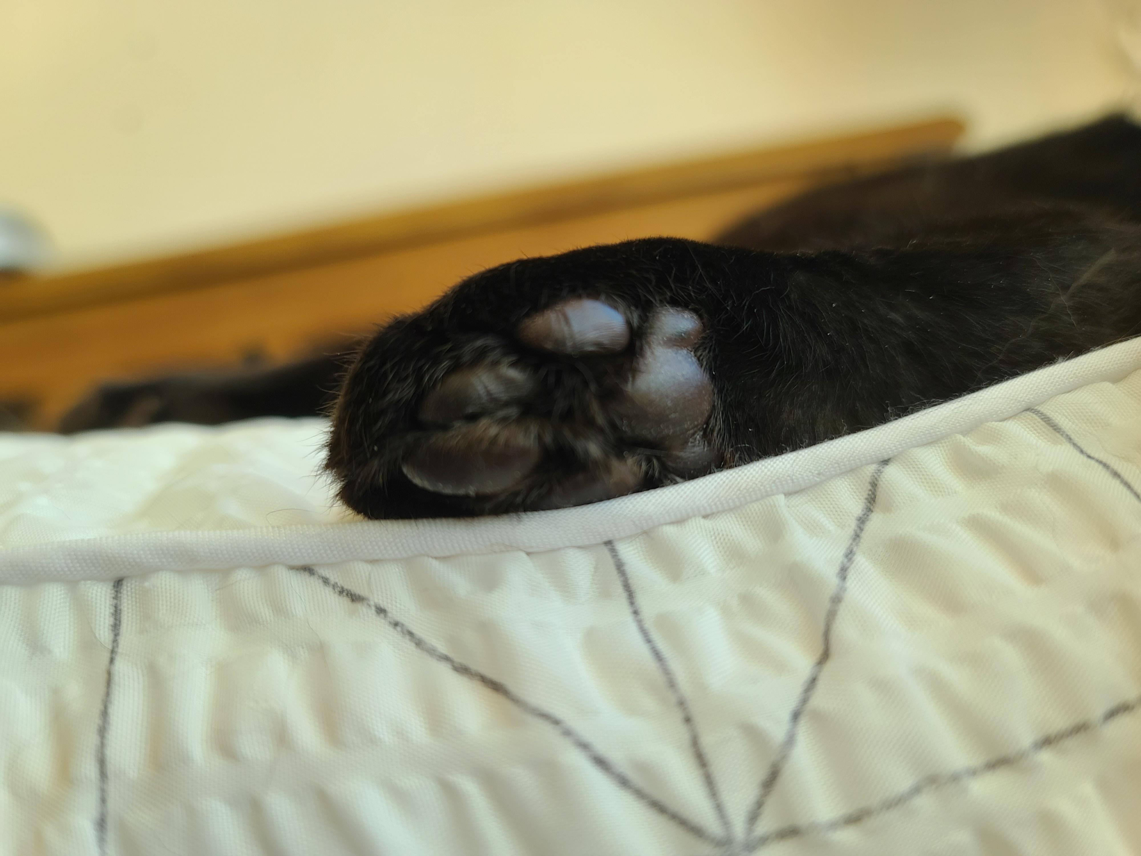 아침부터 건이랑 알콩달콩 (feat.호야)