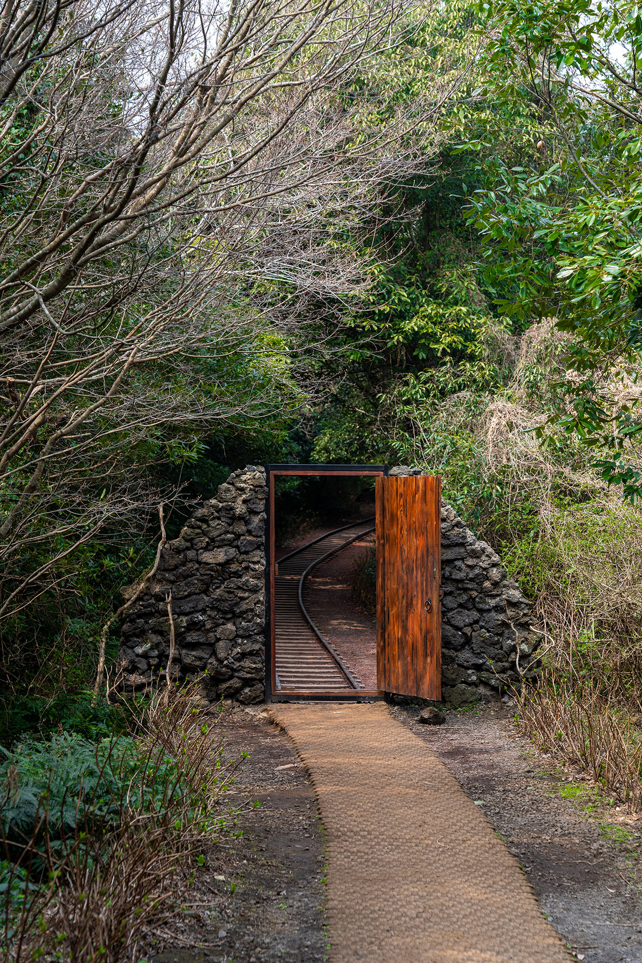 산양큰엉곶(산양곶자왈) 기찻길