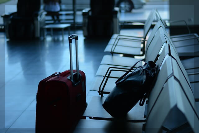 진에어 수하물&amp;#44; 반려동물 규정[완벽 가이드]