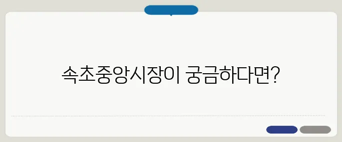 속초중앙시장 방법 헷갈릴 땐 이것