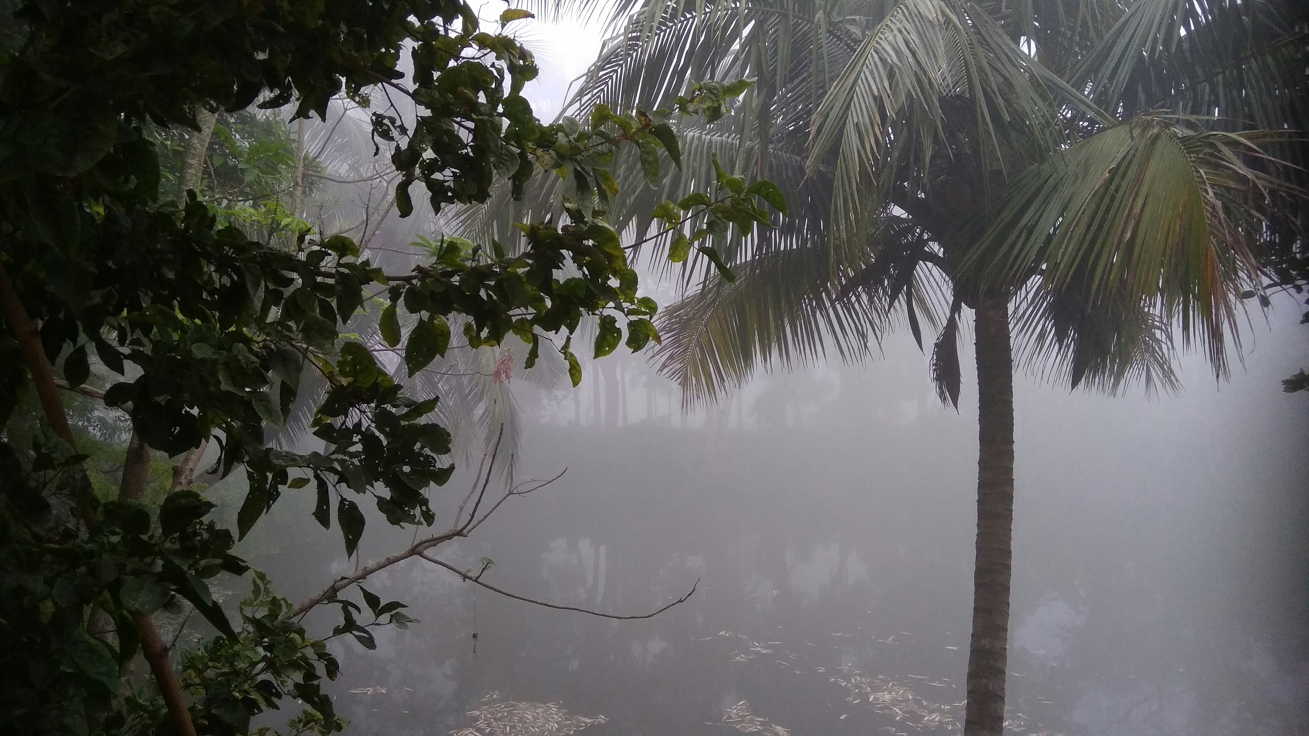 9호 태풍 크로사 위성사진