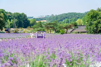 고창 맛집 베스트10 숨겨진 나만 아는 맛집_10