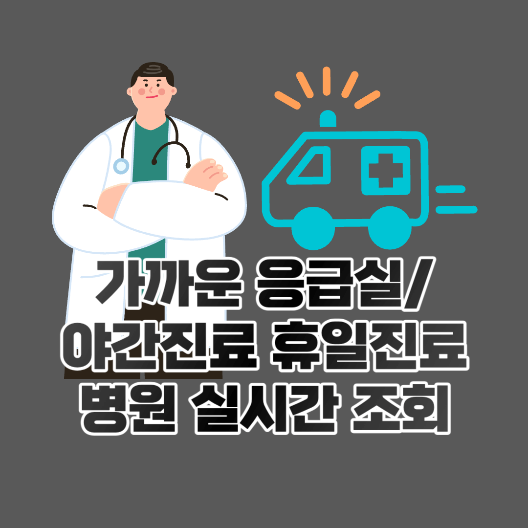 근처 가까운 응급실, 주말 문여는 병원 야간진료 병원 찾기