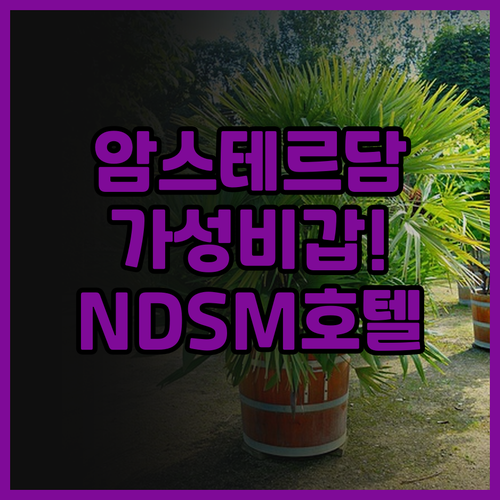 암스테르담 가성비 호텔 추천 더블트리..