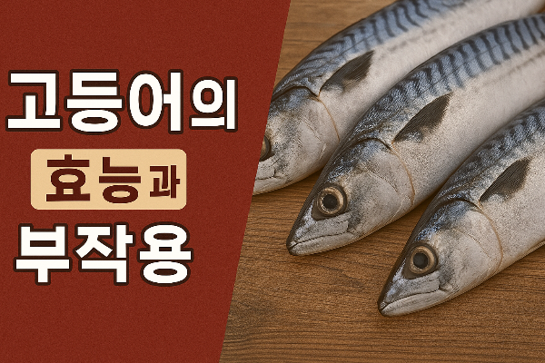 고등어의 효능과 부작용