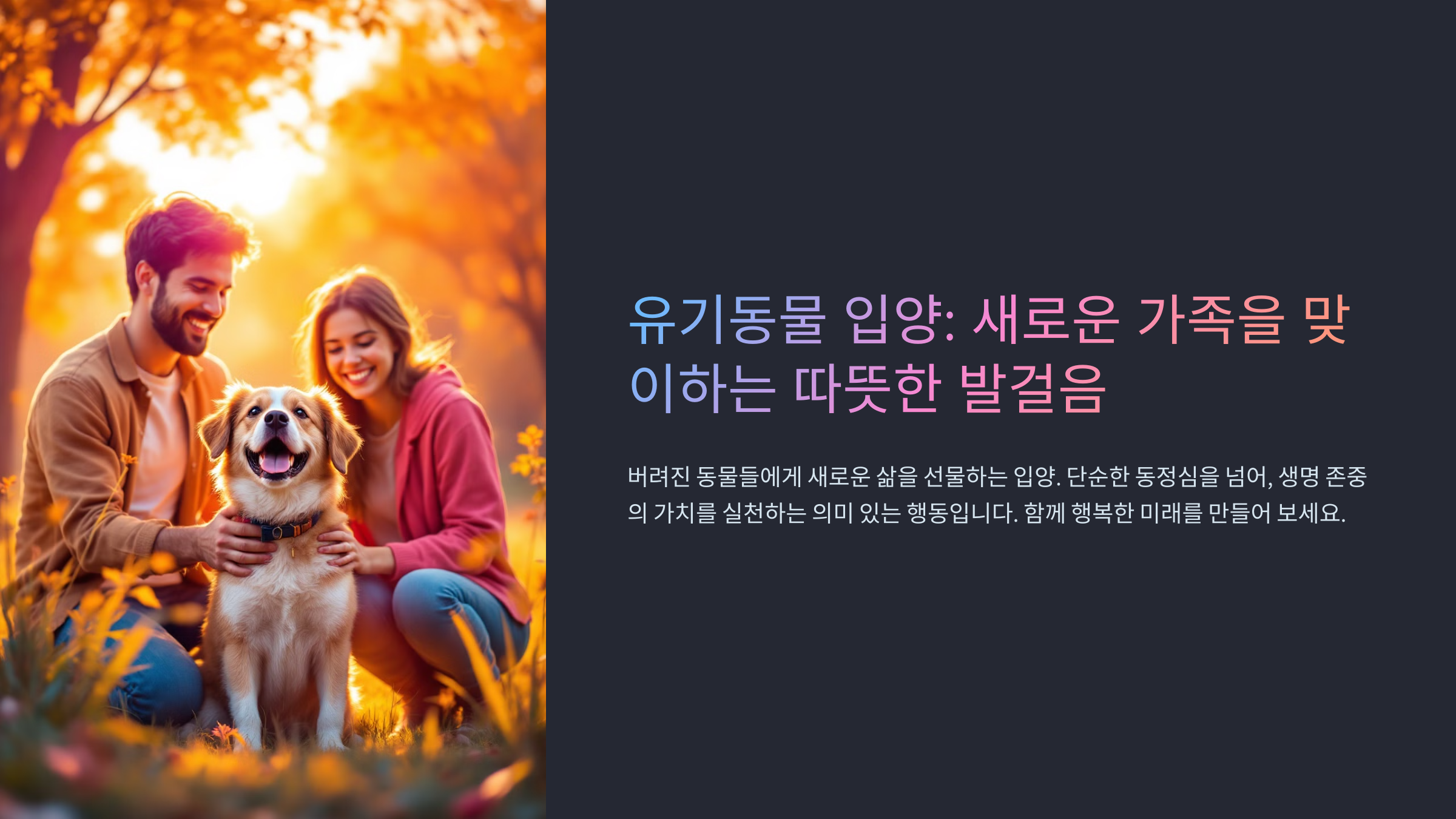 유기동물 입양 절차