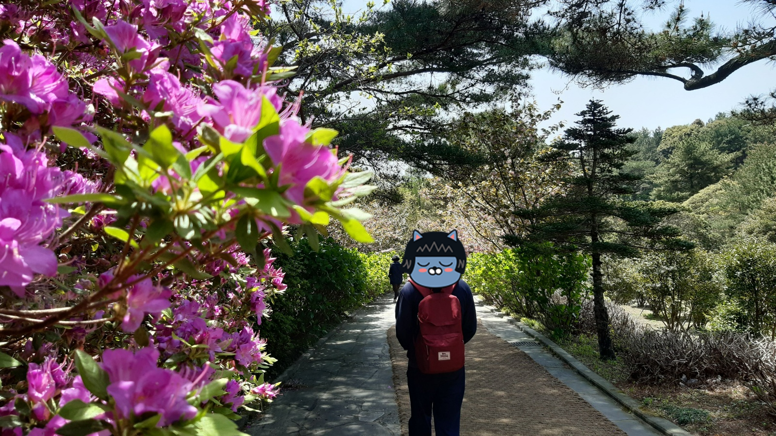 상효원